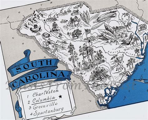 Vintage South Carolina Map Charming Adorable Beautifully Illustrated