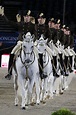 Lipizzaner horses - Spanish Riding School of Vienna Clydesdale, All The ...