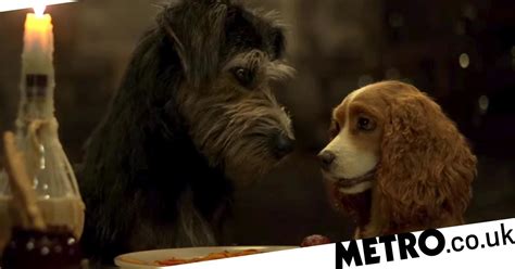Disneys Lady And The Tramp Live Action Remake Gets First Trailer