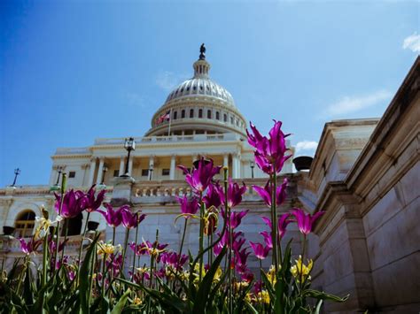House Of Representatives Passes Critical Bill To Advance Efforts For The Prevention And