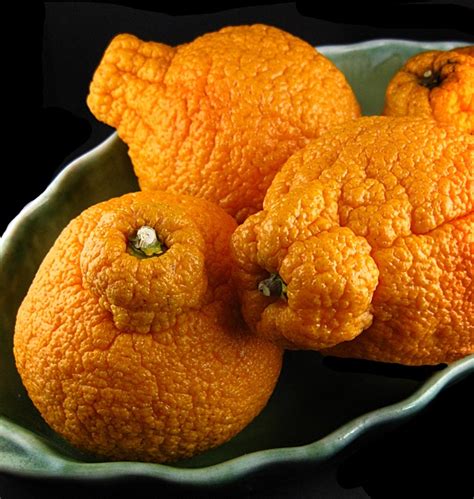 Best Mandarin Oranges You Will Ever Eat Large Seedless Yummy From