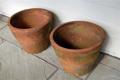 Pots & plant for sale, cebu city. Antiques Atlas - A Vintage Pair Of Terracotta Plant Pots