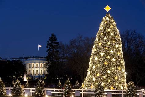 Biggest Christmas Trees In The World Throughout History