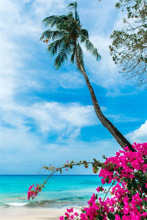 The Lone Star On The Beach Barbados Our Healthy Lifestyle