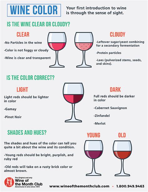 The Color Of Wine Evaluating Wine Through Appearance