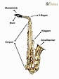 Das Saxophon – Alles was Du wissen musst • lebrass