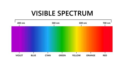 Visible Light Spectrum Electromagnetic Visible Color Spectrum For Human Eye Vector Gradient