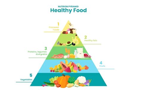 Free Vector Different Levels On Food Pyramid