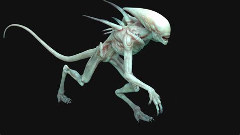 Neomorph Alien Species Fandom Powered By Wikia
