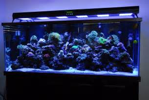  Aquarium Artificial Coral Reef Insert Saljtwater Marine Fish Tank