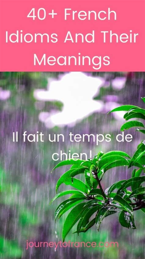 40 French Idioms And Their Meanings Journey To France