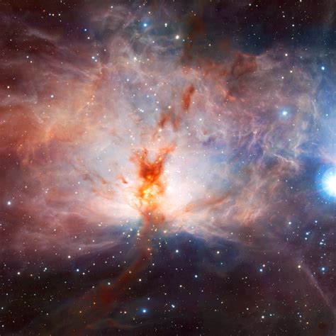 Download Wallpaper Flame Nebula In The Constellation Of Orion 2224x2224