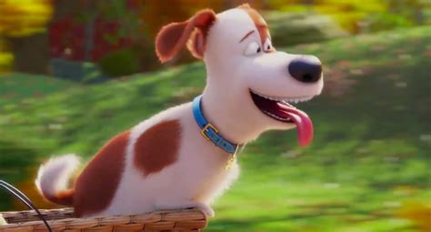 The Secret Life of Pets (2016) - Animation Screencaps