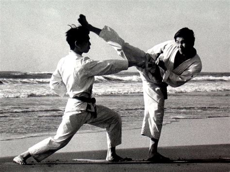 benefícios do karate couto kai karate shotokan