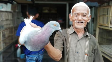 Main ke pasar … 07.03.2021 · sangkar burung merpati dan ɤara terbuat dari ranting kecil. Burung Dara Murah Boyolali - Burung Jual Hewan Peliharaan ...