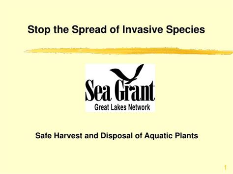 Ppt Stop The Spread Of Invasive Species Powerpoint Presentation Free