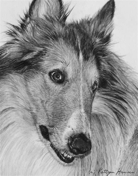 Imagespace how to draw a cute realistic dog. Kathryn Hansen graphite and colored pencil drawings: The ...