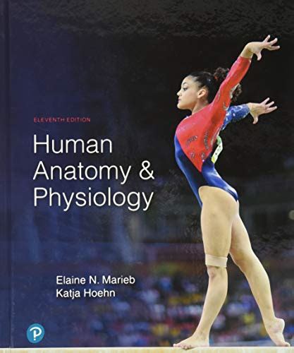 Human Anatomy Physiology Textbooks Slugbooks