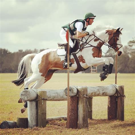 ♞pinterest Limitlessskyy♘ Horses Eventing Horses Cross Country Jumps