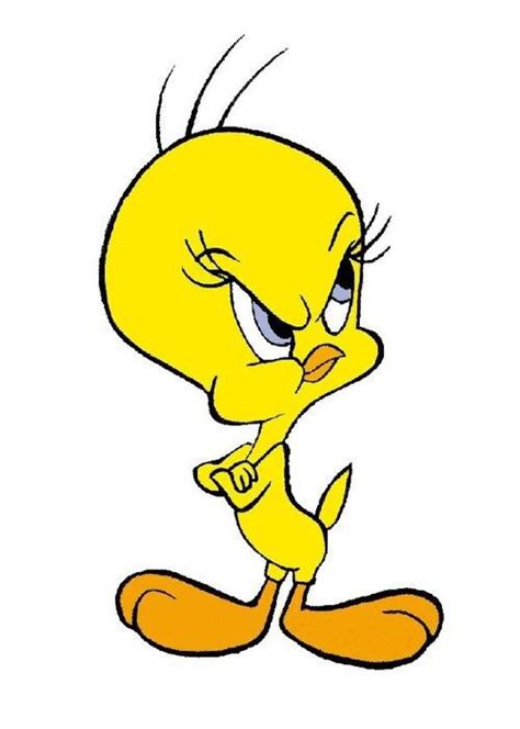Tweety Tweety Bird Drawing Cartoon Character Pictures Classic