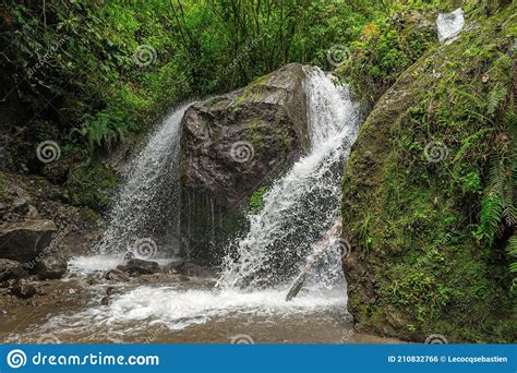 Los Cuchos Watercataratas Quito Ecuador Foto De Stock Imagem De