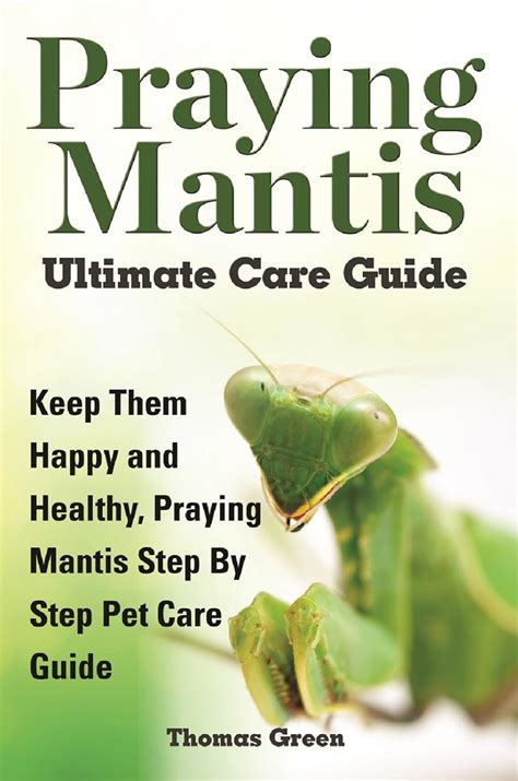 Praying Mantis Ultimate Care Guide Keep Them Happy And Healthy Praying