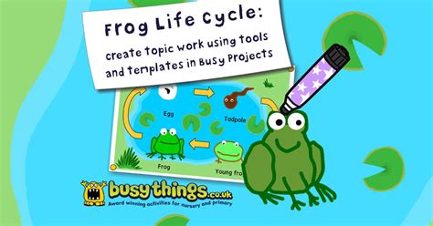 Frog Life Cycle Busy Project Busythings Blog