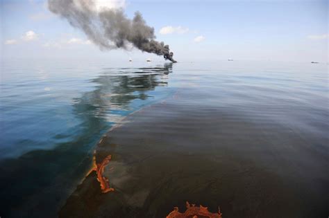 The Bp Oil Spill And Nasas Challenger Disaster Business Insider