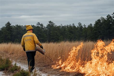 Njdep News Release 20p004 New Jersey State Forest Fire Service