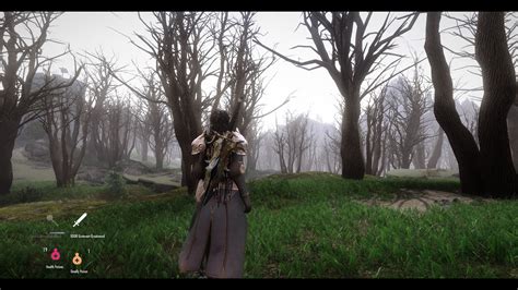 Dark Forest At Skyrim Nexus Mods And Community