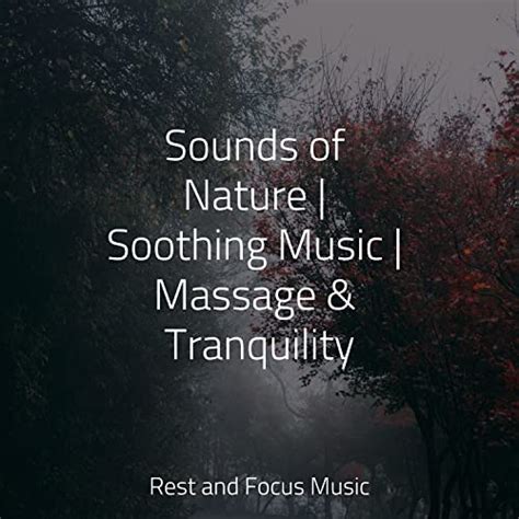 Sounds Of Nature Soothing Music Massage And Tranquility By Meditative