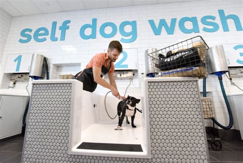 Get your buddy squeaky clean with our diy dog wash services find a dog wash we like a dirty doggy, it's because we know you'll find everything you need to get them squeaky clean again, right in our d.i.y dog wash bays. This New Pet Spa Will Seriously Pamper Your Pooch - Pursuitist