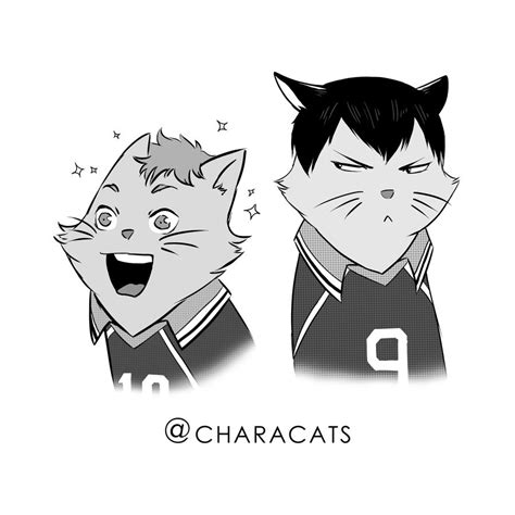 Haikyuu Cats Hinata And Kageyama By Popsicle222 On Deviantart