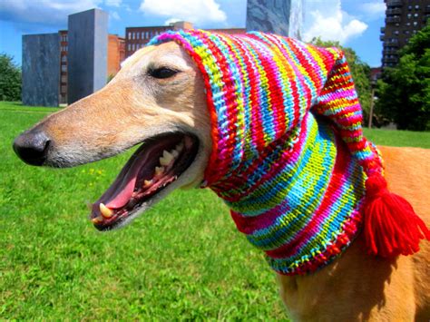 Dog Hats Custom Order Hathand Knit Dog Hatgreyhound