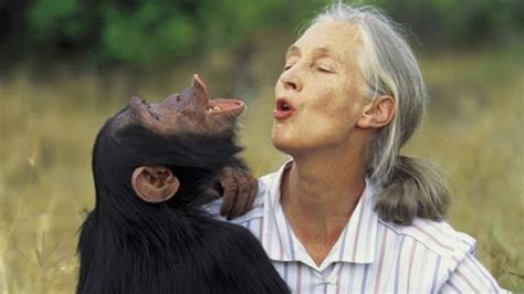 Jane Goodall On How She Made Her Dream Of Living With Chimpanzees Come