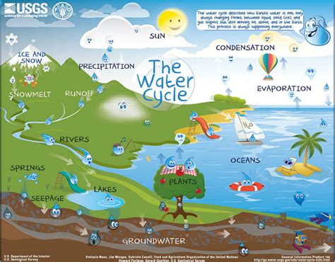 The Water Cycle Mrs Wards 3rd Grade Classroom