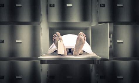 500 Morgue Body Stock Photos Pictures And Royalty Free Images Istock