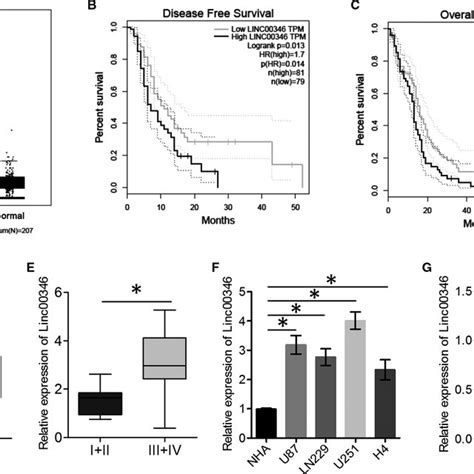 Linc Expression In Glioma Tissues And Cell Lines A Expression