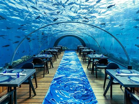 These Exotic Restaurants Will Give You Once In A Lifetime Experience