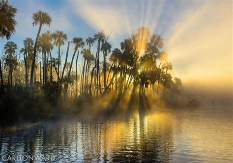 Photo By Carltonward I Am Thankful For Everyone Helping Protect