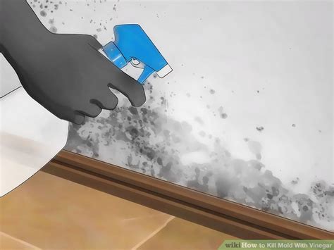 2 Simple Ways To Kill Mold With Vinegar Wikihow