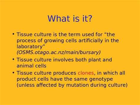 We did not find results for: Презентация plant tissue culture and applications