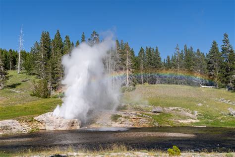 Riverside Geyser In Yellowstone National Park Erupts With Flickr