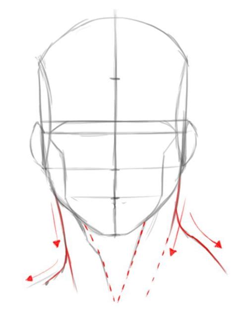 How To Draw The Male Head Front View Drawing Tips Drawing Tutorial
