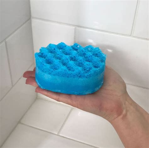 Sponge With Soap Ubicaciondepersonascdmxgobmx