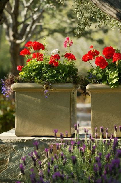 Contemporary Landscape By Berghoff Design Group Container Plants