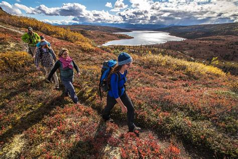 The Denali Backcountry Lodge Experience Activities And Amenities