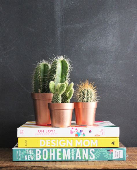 Creative Diy Cactus Planters You Need To See Top Dreamer