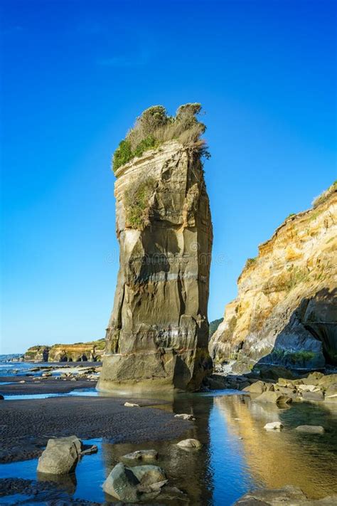 On The Beach 3 Sisters And Elephant Rock New Zealand 42 Stock Photo