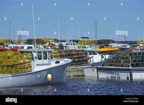 Fully Loaded Lobster Boat With Lobster Traps At Esuminac Wharf Gulf Of